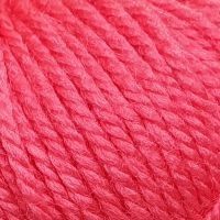 Школьная (Пехорка) - 58 (коралл)