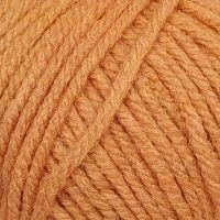 Удачный выбор (Пехорка) - 99 (абрикос)