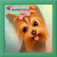 Йоркширский терьер, 25х25 см