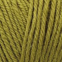 ВЕНЕЦИАНСКАЯ ОСЕНЬ (COLOR-CITY) - 2407 (оливковый)