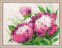 Риолис Розовые пионы,  40*30 см