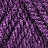 Зимний вариант (Пехорка) - 191 (ежевика)