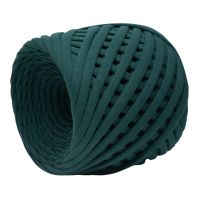 Трикотажная пряжа 7-9 мм/100 м - 100 (сосна)