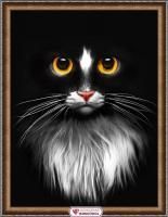 АЖ-1899 Картина стразами 'Черный кот' 30*40см