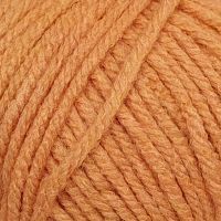 Удачный выбор (Пехорка) - 99 (абрикос)