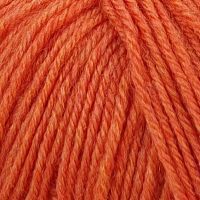 Детский каприз (Пехорка) оранжевый