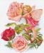 Алиса Фея розового сада, 27х33  см.