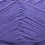 Деметра (Астра) фиолетовый