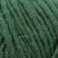 Mohair Delicate Bulky (Нако) - 10698 (зеленый)