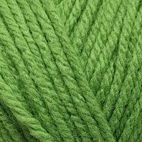 Удачный выбор (Пехорка) - 119 (горох)