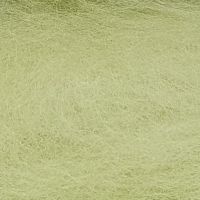 Кардочес 100гр. (Камтекс) - 189 (фисташка)