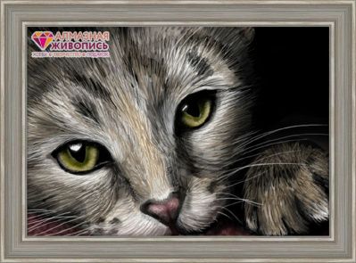 Кошачий портрет, 50х35 см
