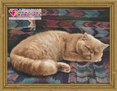 Персидский кот, 40х30 см