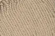 Сакура (ТКФ) песочный