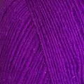 Ассоль (Jina) фиолетовый